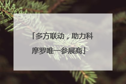 多方联动，助力科摩罗唯一参展商