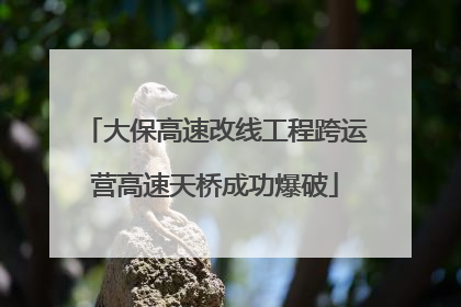 大保高速改线工程跨运营高速天桥成功爆破