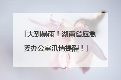 大到暴雨！湖南省应急委办公室汛情提醒！