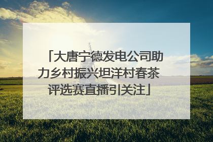 大唐宁德发电公司助力乡村振兴坦洋村春茶评选赛直播引关注
