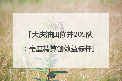 大庆油田修井205队：毫厘精算创效益标杆