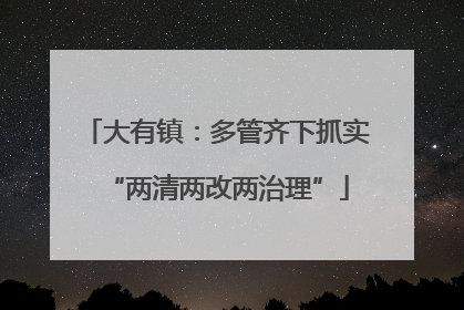大有镇：多管齐下抓实“两清两改两治理”