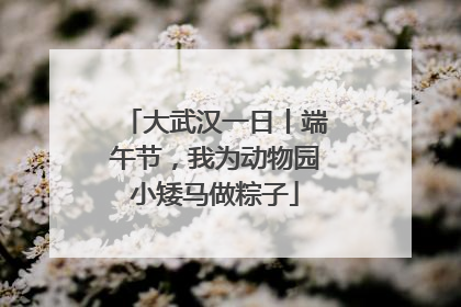 大武汉一日丨端午节，我为动物园小矮马做粽子