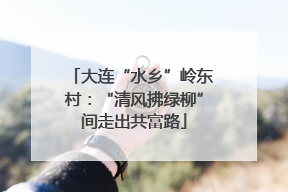 大连“水乡”岭东村：“清风拂绿柳”间走出共富路