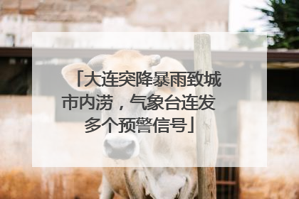 大连突降暴雨致城市内涝，气象台连发多个预警信号