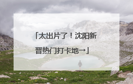 太出片了！沈阳新晋热门打卡地→