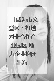 威海市文登区：打造对非合作产业园区 助力企业抱团出海
