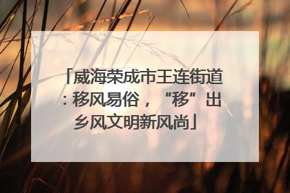 威海荣成市王连街道：移风易俗，“移”出乡风文明新风尚