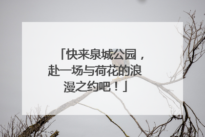 快来泉城公园，赴一场与荷花的浪漫之约吧！