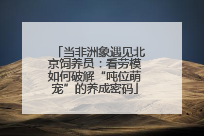 当非洲象遇见北京饲养员：看劳模如何破解“吨位萌宠”的养成密码