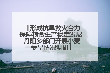 形成抗旱救灾合力 保障粮食生产稳定发展 丹阳多部门开展小麦受旱情况调研