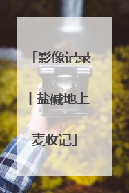 影像记录丨盐碱地上麦收记