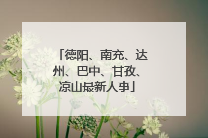 德阳、南充、达州、巴中、甘孜、凉山最新人事