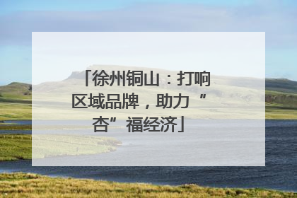 徐州铜山：打响区域品牌，助力“杏”福经济