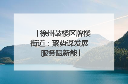 徐州鼓楼区牌楼街道：聚势谋发展 服务赋新能