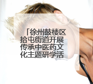 徐州鼓楼区拾屯街道开展传承中医药文化主题研学活动