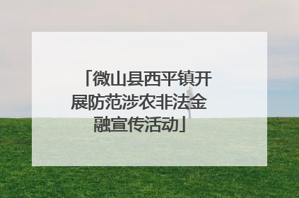 微山县西平镇开展防范涉农非法金融宣传活动