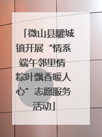 微山县驩城镇开展“情系端午邻里情 粽叶飘香暖人心”志愿服务活动