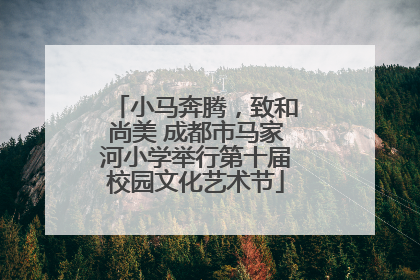 小马奔腾，致和尚美 成都市马家河小学举行第十届校园文化艺术节