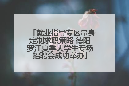 就业指导专区量身定制求职策略 德阳罗江夏季大学生专场招聘会成功举办