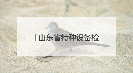 山东省特种设备检验研究院集团有限公司筑牢高原特种设备安全防线 共绘拉萨美好生活画卷