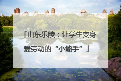 山东乐陵：让学生变身爱劳动的“小能手”