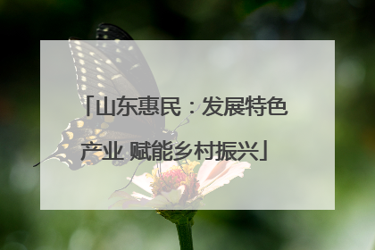 山东惠民：发展特色产业 赋能乡村振兴