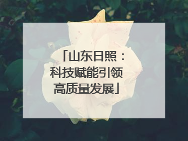 山东日照：科技赋能引领高质量发展