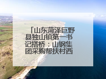 山东菏泽巨野县独山镇第一书记搭桥：山钢集团采购帮扶村西瓜助农增收