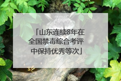 山东连续8年在全国禁毒综合考评中保持优秀等次