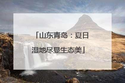 山东青岛：夏日湿地尽显生态美
