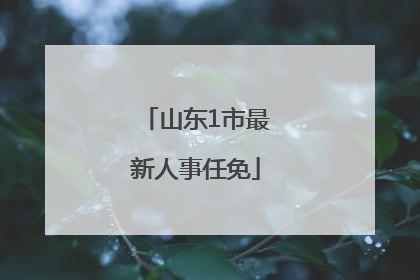 山东1市最新人事任免