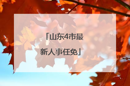 山东4市最新人事任免