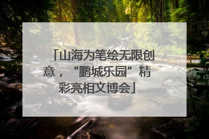 山海为笔绘无限创意，“鹏城乐园”精彩亮相文博会