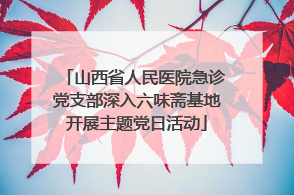 山西省人民医院急诊党支部深入六味斋基地开展主题党日活动