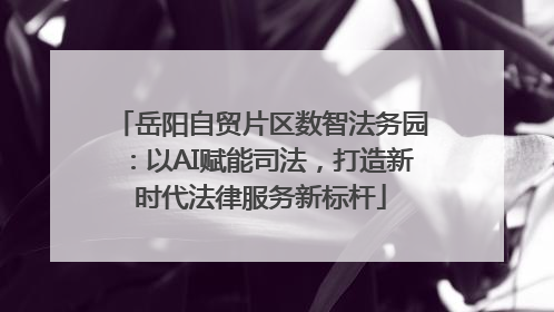 岳阳自贸片区数智法务园：以AI赋能司法，打造新时代法律服务新标杆