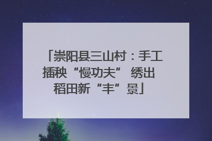 崇阳县三山村：手工插秧“慢功夫” 绣出稻田新“丰”景