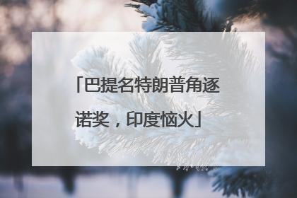 巴提名特朗普角逐诺奖，印度恼火