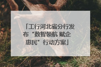 工行河北省分行发布“数智领航 赋企惠民”行动方案