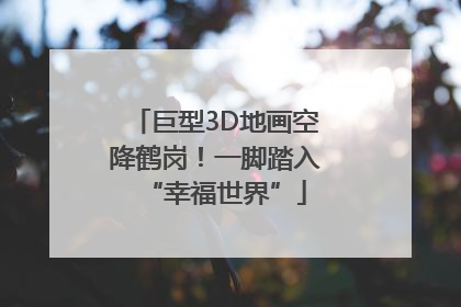 巨型3D地画空降鹤岗！一脚踏入“幸福世界”