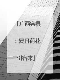 广西容县：夏日荷花引客来