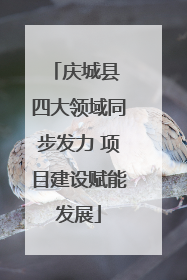 庆城县 四大领域同步发力 项目建设赋能发展