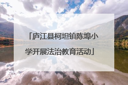 庐江县柯坦镇陈埠小学开展法治教育活动