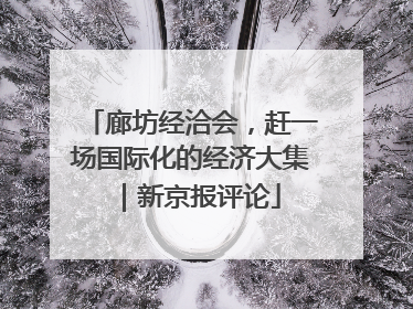 廊坊经洽会，赶一场国际化的经济大集｜新京报评论
