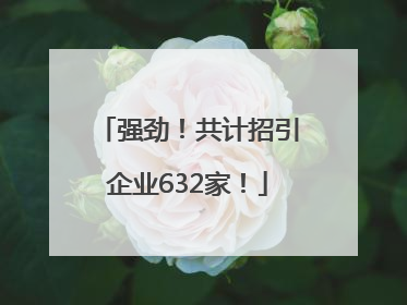 强劲！共计招引企业632家！