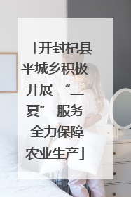 开封杞县平城乡积极开展 “三夏” 服务 全力保障农业生产