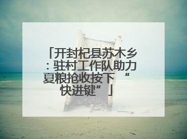开封杞县苏木乡：驻村工作队助力夏粮抢收按下 “快进键”