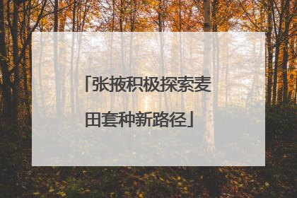 张掖积极探索麦田套种新路径