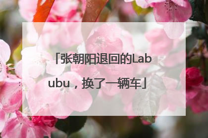 张朝阳退回的Labubu，换了一辆车