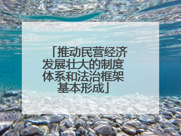 推动民营经济发展壮大的制度体系和法治框架基本形成